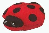 Lucy the Ladybug