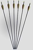 6 Pfeile - Fiberglas - 26 Zoll lang - für Compound / Recurve Bogen