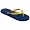 Navy/Gold