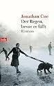 Der Regen, bevor er fällt: Roman