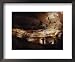Paleolithic Bulls and Other Animals Crowd Calcite Walls at Lascaux, France Art Styles Framed Photographic Poster Print by Sisse Brimberg, 17x14