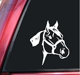 Quarter Horse Head White Vinyl Decal Sticker