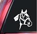 Quarter Horse Head White Vinyl Decal Sticker