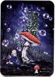  : Alice in Wonderland - Caterpillar on Mushroom, Alice on Ground with Bubbles - Sticker / Decal