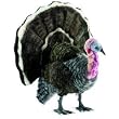 Turkey Stuffed Animal Plush Toy by Hansa 18" H