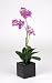 Artificial 17" Mini Phalaenopsis Orchid, Lavender
