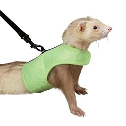 Biddie Buddies Small Pet Ferret Harness and Lead, Medium, Lime