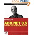 Professional ADO NET Entity Framework Programmer