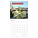 Frank Lloyd Wright 2017 Calendar