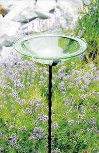 Glass Bird Bath Bowl Iron Light Green