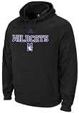 Northwestern Wildcats adidas Black Pindot 2011 Sideline Embroidered Hooded Sweatshirt