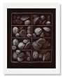 Olivia Parker, Mixed Nuts, Ephemera portfolio