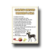 Chinese Crested Property Laws Fridge Magnet