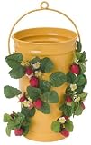 Houston International 8491E 13-Inch Assorted Colors Enamel Strawberry Planter