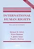 International Human Rights: Documentary Supplement