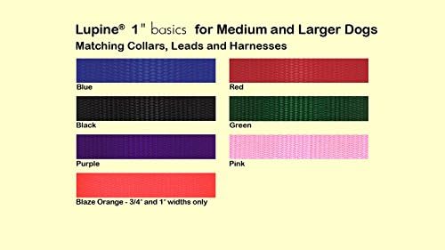 LupinePet 1" Green 20-32 Roman Dog Harness