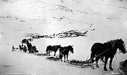 Alaskan Trek with Horses, Mules, Dogs, Bicycle, ca. 1915 Photograph - Beautiful 16"x20" Photographic Print from the Library of Congress Collection