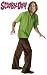 Scooby-Doo Shaggy Adult Costume Adult (Standard One-size)