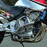 ゴールドメダル:エンジンガード サブフレーム付 バフ仕上