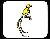 Mouse Pad with animal, perch, bird, parrot, Mexico, tropical, tail