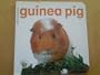 GUINEA PIG (Baby Animal Board Books)