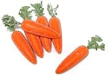 Orange Artificial Carrots - Package of 6 Carrots