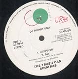 HAYFEVER 12 INCH (12" SINGLE) UK GO DISCS 1993
