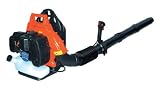 Hitachi RB 160 EF Rückentragbares Blasgerät Leistung 3,8 PS