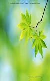 Spirit Renewal Daily Devotions
