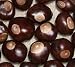 Buckeye Nuts - Quarter Size - Twenty-Five Nuts