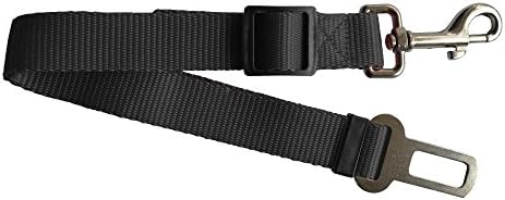 Langder Nylon Leash Black