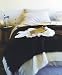 Waratah Luxury Pure Mohair Pile Throw fringed on two ends. 80% Mohair, 20% Merino woo...