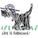 Emerson Street Life is Fabulous! Nightshirt