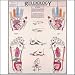 Reflexology Chart