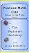 Precious Metal Clay Vol. 1 - The Beginners Workshop Silver in No Time by Linda Bernstein