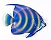 Handpainted Glitter Cartoon Tropical Fish Wall Mount Decor Plaque 12