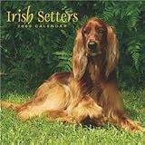 2009 Calendar Irish Setter