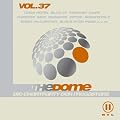 The Dome Vol.37