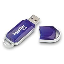 ByteStor 32GB USB  High Speed "Dataferry" Blue Flash Drive