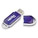 ByteStor 32GB USB  High Speed "Dataferry" Blue Flash Drive