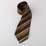 Brown Stripes Woven Poly Tie Gift Box Set youth dress shirt Wise Tie Set W1158