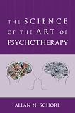 The Science of the Art of Psychotherapy (Norton Series on Interpersonal Neurobiology)