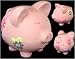 Big Pink Piggy Bank Coin and Bill Collector