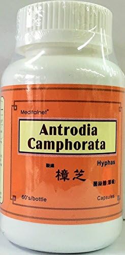 Antrodia Comphorate 60 Capsules