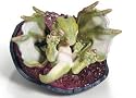Schleich Nugur Baby Dragon