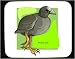 Decorated Mouse Pad with atra, fulica, bird