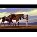 Product Video: Spirit: Stallion of the Cimarron-Trailer