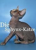 Die Sphynx-Katze