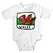 Onesie with Wales, International, national flag