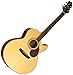 NEW SAMICK GREG BENNETT WORTHINGTON J5 NATURAL JUMBO ACOUSTIC ELECTRIC GUITAR